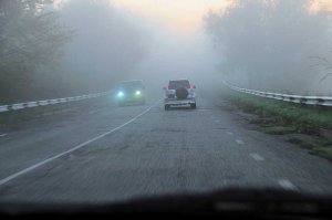 Как вести себя на дороге во время тумана?
