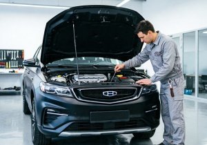 ��������� ������������ ������������ Geely Atlas: ��� �� ...