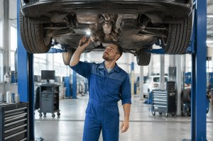 ��� 12 �������� ������������ ������ �� �������� ������� ...